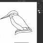 kingfisher_linedrawing_02.jpg